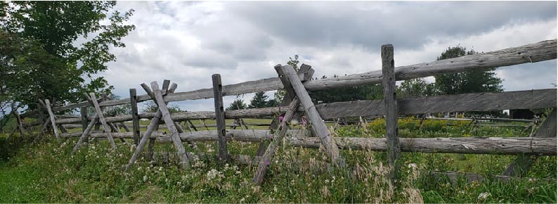 Image of a wooden fence surrounded by tall grass.