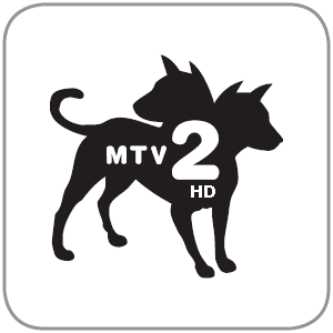 MTV 2 Logo