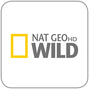 Nat Geo Wild Logo